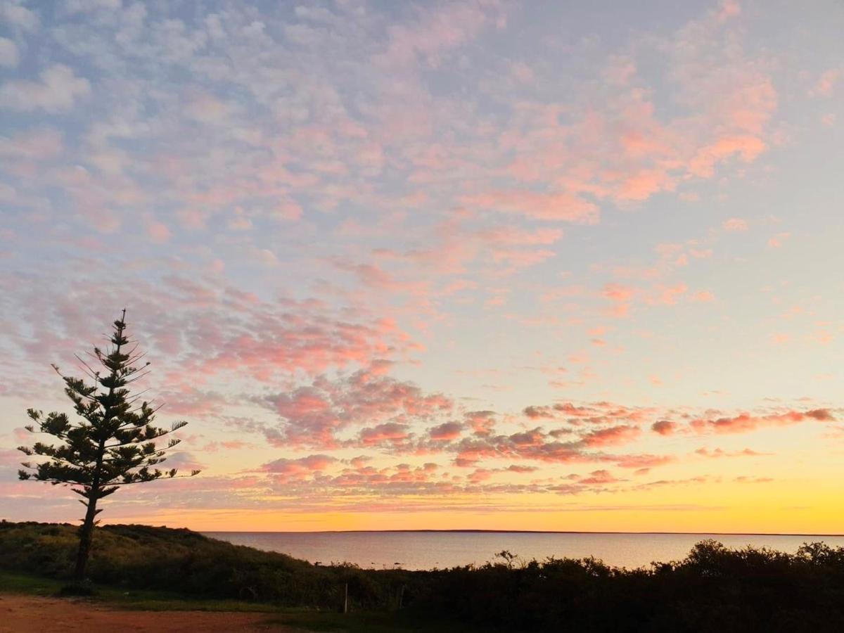 Highway One Motel Ceduna Luaran gambar